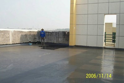 虎門防水補漏醫(yī)生 專業(yè)高效，守護建筑健康